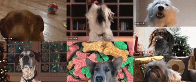 e7358152-7a19-46d6-b6a5-1541473dea0e.gif