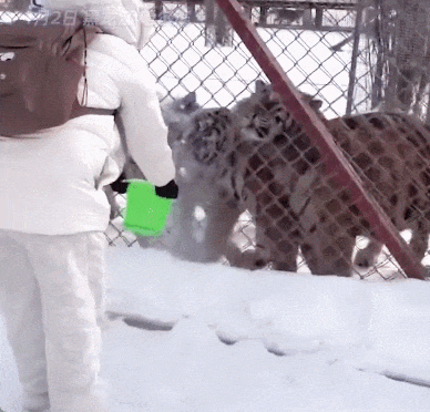 09470b7b-99ae-4c0e-871c-7404548d1940.gif