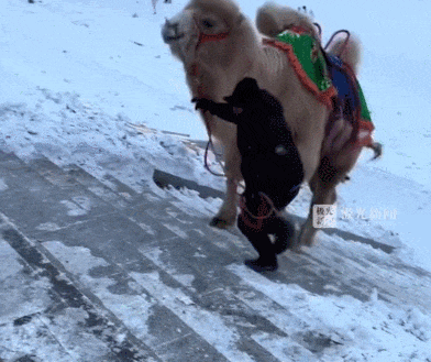 1f1d6f9c-4667-4a2f-86fd-5f7e91bedb93.gif