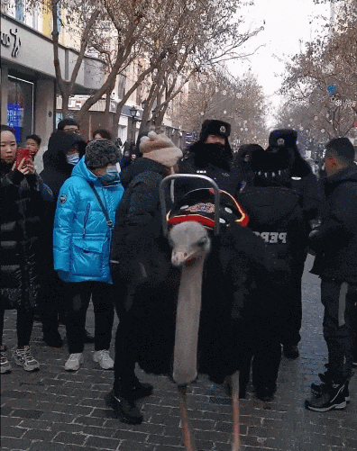 8ab07fd8-0700-4b28-9971-104ea4e37b6b.gif