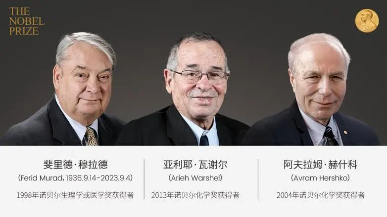 db4b6c8b-769d-4c01-a863-b95f69a99daa.png